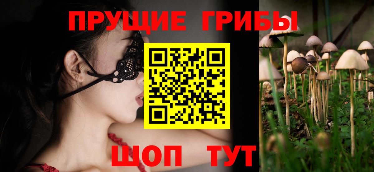 A-PVP Воркута